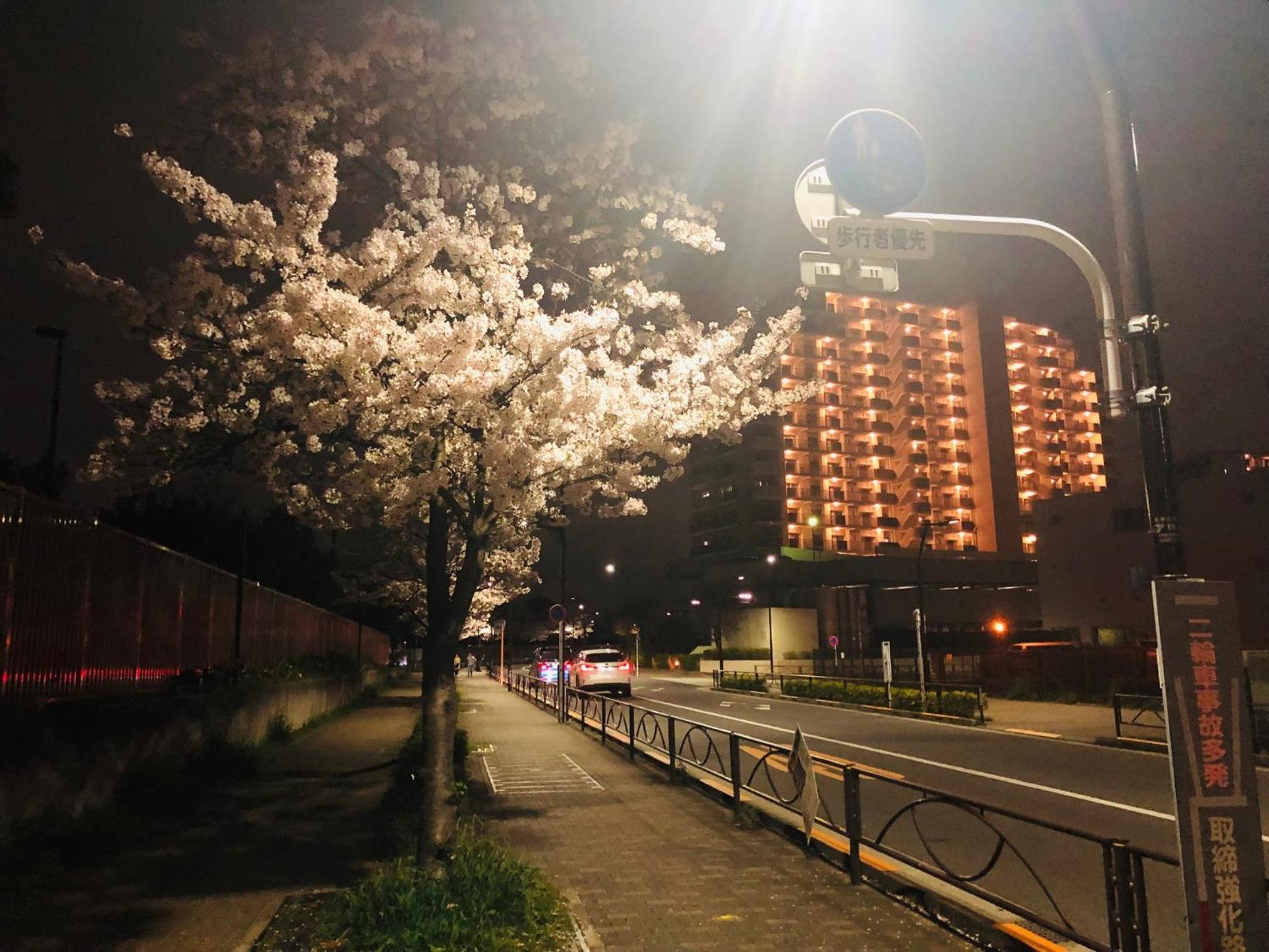 Jl 東京 House - 駐車場付き築浅のまるごと貸切住宅 Tokio Buitenkant foto